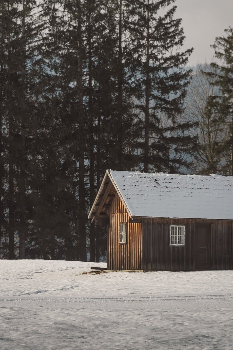 Secluded Forest Retreats